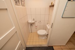Vrouwenmantel 81  Schoonhoven 014.jpg